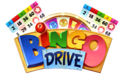 bingo drive